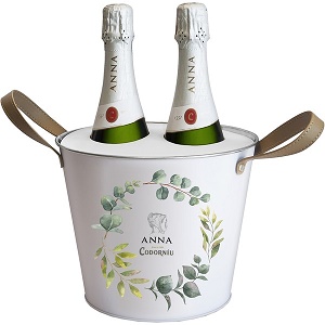 2 Espumantes Español Cava Anna de Codorníu 750 Ml + Cubeta