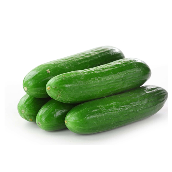 Pepino